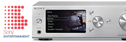 Sony Amplifier repair service